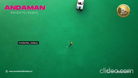 Best Andaman Tour Packages For All