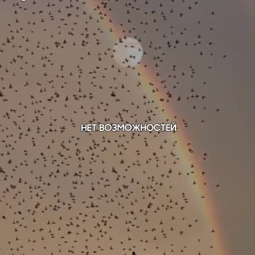 Двигайся в тишине — результат скажет за тебя