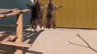 🤯🚫 They're Trying to Reach Something... But What? | FunFM