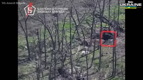 Ukrainian FPV drones blitz Russian trenches and blow up armoured vehicles and infantry