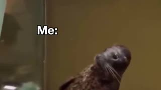 😂 You Won't Believe His Abs! | FunFM