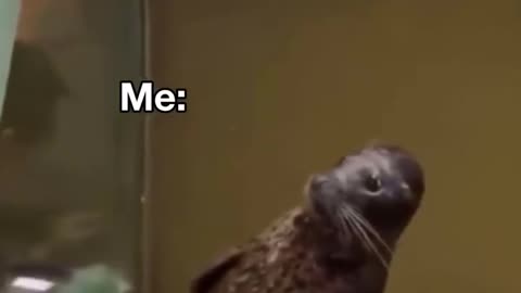 😂 You Won't Believe His Abs! | FunFM