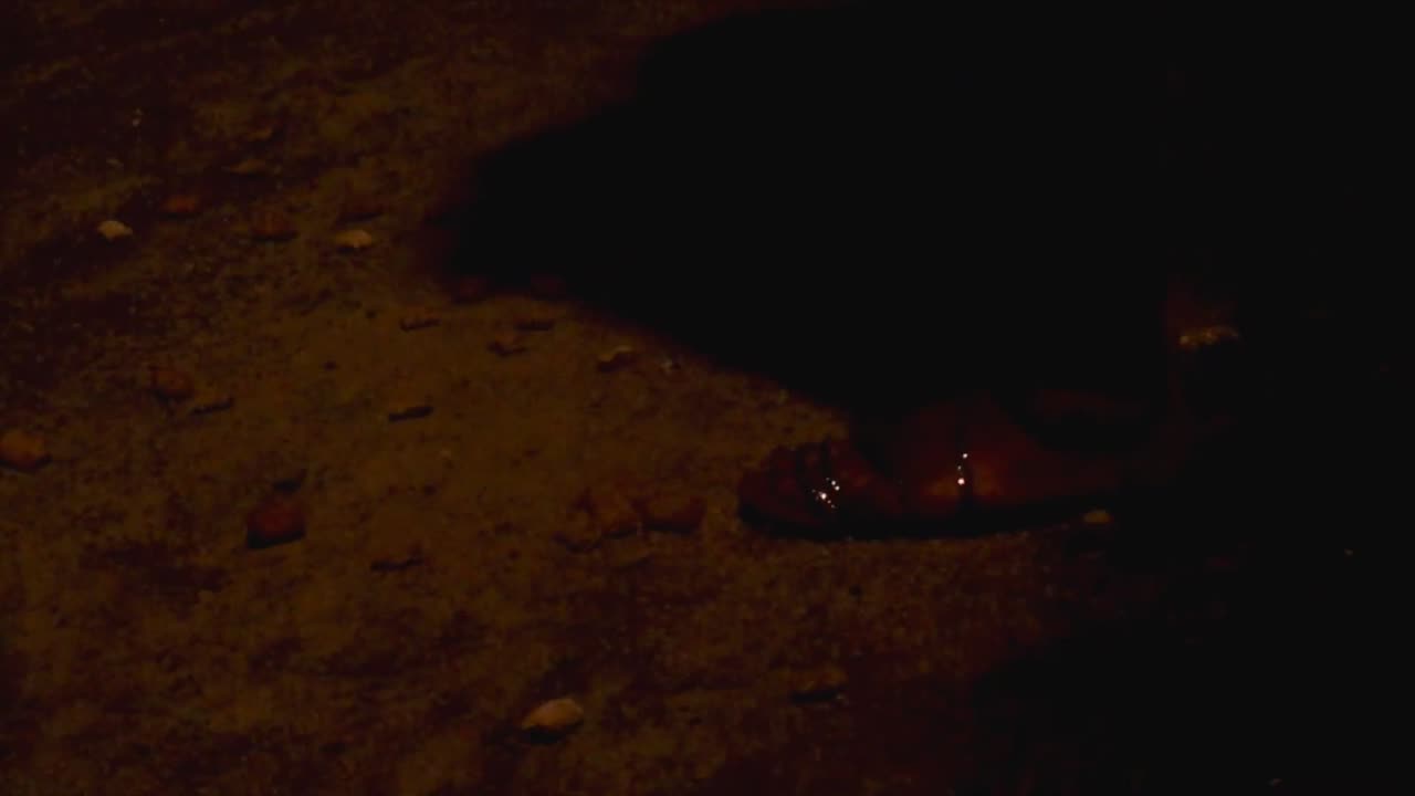 Candid Sexy Unaware Crush at Bus Stop