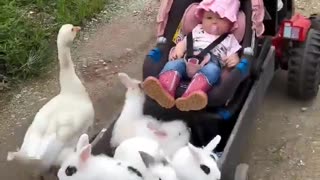 Woe Day 64. I am in the ark. Waiting for GOD to open the Door for a spring/summer Pentecost rapture