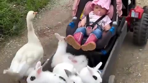 Woe Day 64. I am in the ark. Waiting for GOD to open the Door for a spring/summer Pentecost rapture