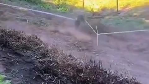 Bike accident