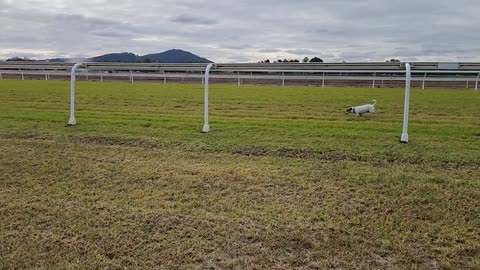 Albury- Race Course NSW