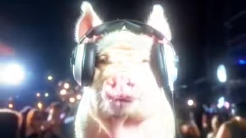 #ai #animal #dj #pig #funny #fyp