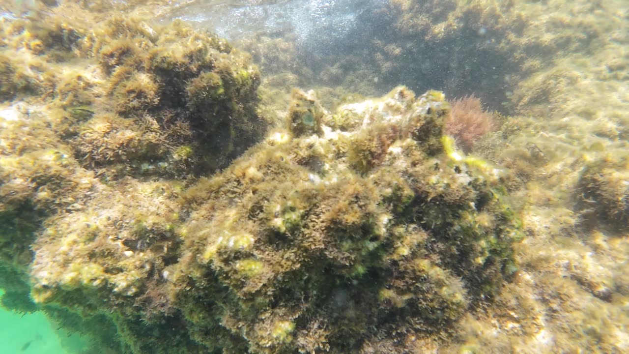 A Good Day At The Moutain Beach (Arrabida) MARGEM SUL, PORTUGAL 17th MAY 2K25 Part 1