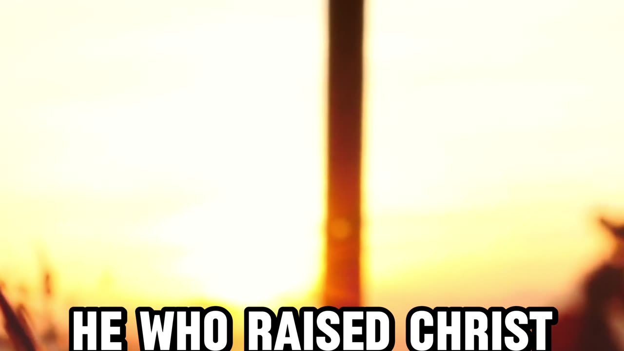 𝐇𝐚𝐯𝐞 𝐲𝐨𝐮 𝐑𝐢𝐬𝐞𝐧 𝐰𝐢𝐭𝐡 𝐂𝐡𝐫𝐢𝐬𝐭?