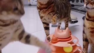 Tower of Tracks Interactive Turntable Cat Toy