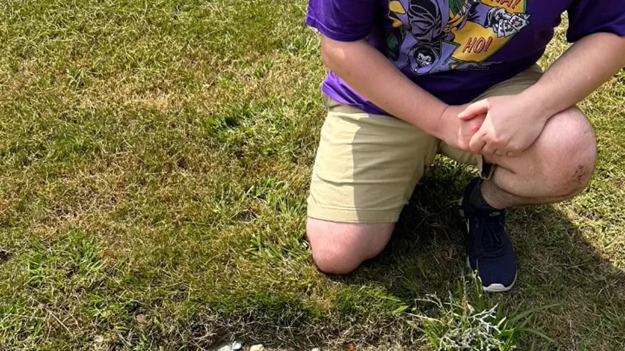 FAMOUS GRAVES - VOL. 342: SID VICIOUS