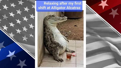 HEYDONMUSICPAGE Latest Videos Breaking News 7 05 25
