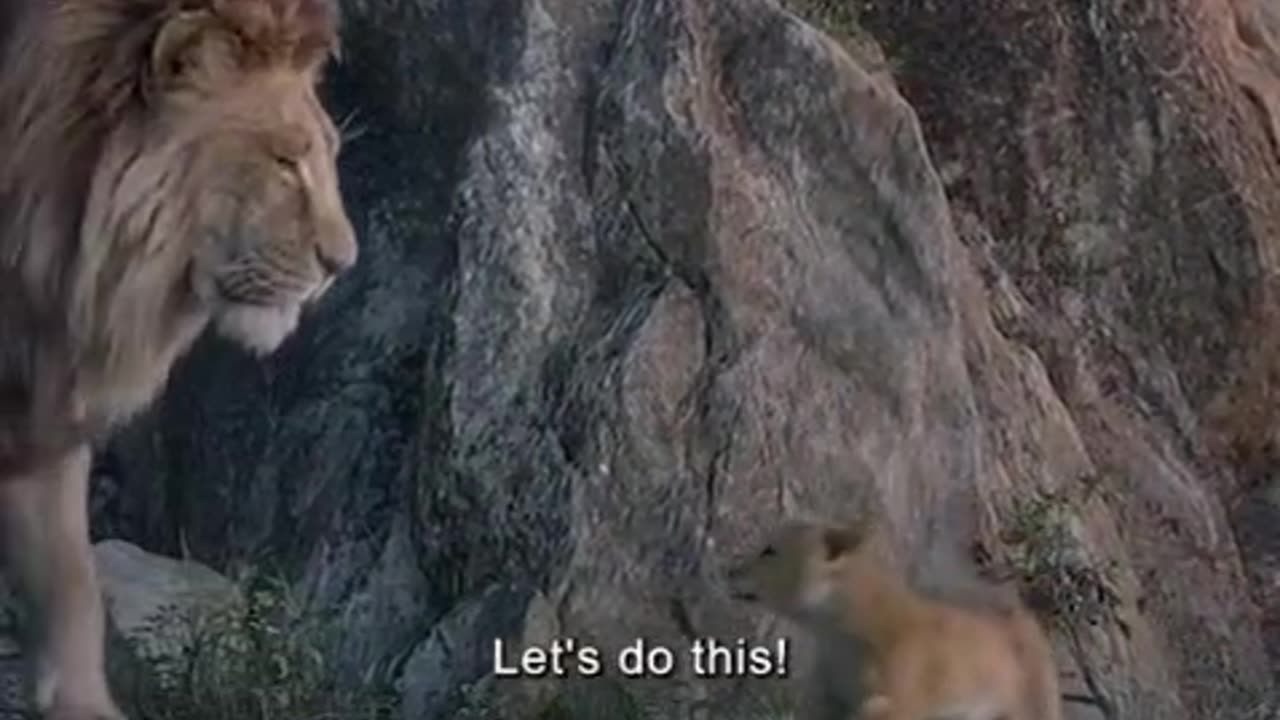 The lion king 1