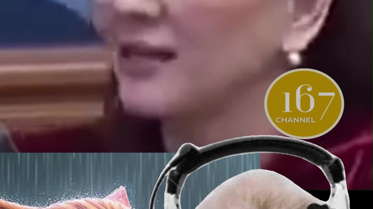 MEOW MEOW MEOW MEOW RIZA