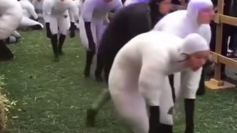 Sheeple Who Haven't Died From the Jab Yet