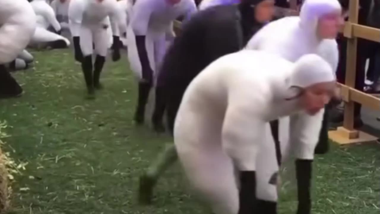 Sheeple Who Haven't Died From the Jab Yet