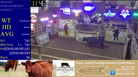 4/1/2025 - Calf & Yearling Auction- Beaver County Stockyards