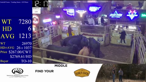 4/1/2025 - Calf & Yearling Auction- Beaver County Stockyards