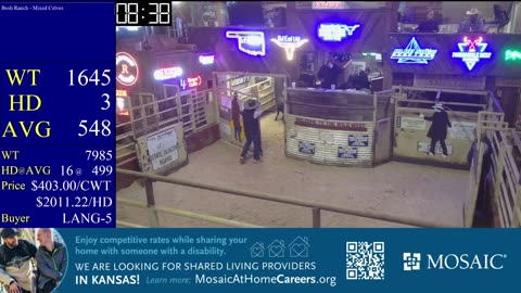 4/1/2025 - Calf & Yearling Auction- Beaver County Stockyards