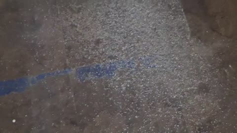 Little Litter Tornado