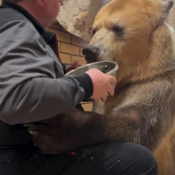 Such a good little boy 😊