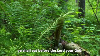 Deuteronomy Chapter 12