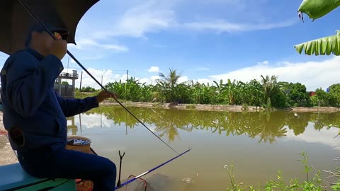 Rudd Jigging in Lake Vegetation Zones