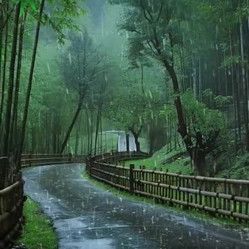 Heavy thunderstorms sounds 🛌 🌧️ 💤and rain sounds for deep sleep, relaxation #rainsound #thundersound