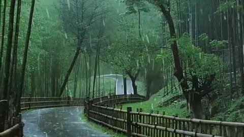 Heavy thunderstorms sounds 🛌 🌧️ 💤and rain sounds for deep sleep, relaxation #rainsound #thundersound