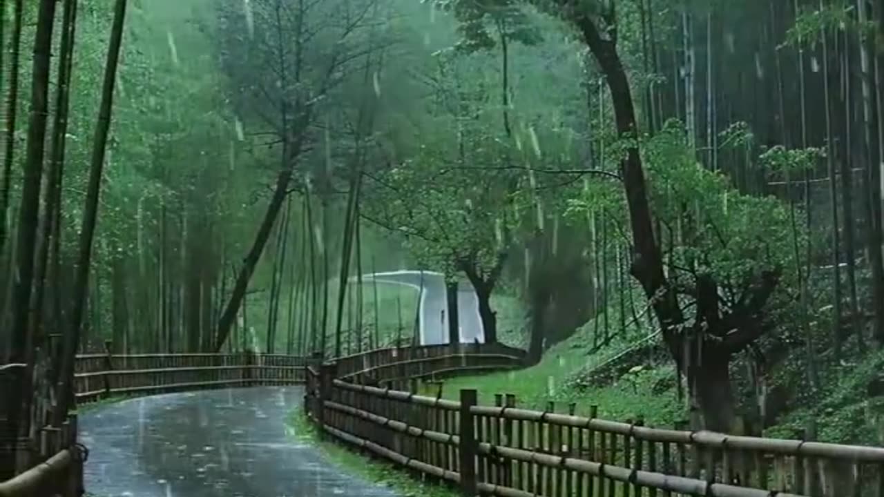 Heavy thunderstorms sounds 🛌 🌧️ 💤and rain sounds for deep sleep, relaxation #rainsound #thundersound