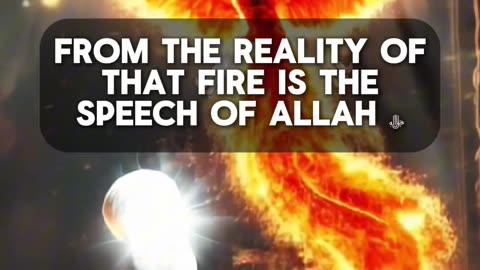 Traversing The Highest Divine Portals - The Muhammadan Reality