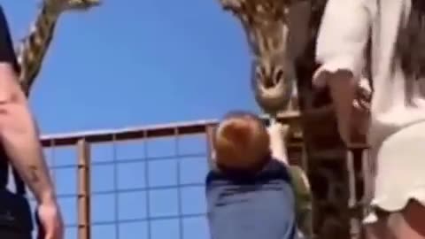 Funniest Cats and Dogs video 🐱 🐶 #shorts #funniestanimals #catvideos #funnydogs