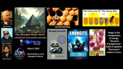 SHUNGITE REALITY 5/6/25 - Bees, Castor Oil , Quantum Entanglement