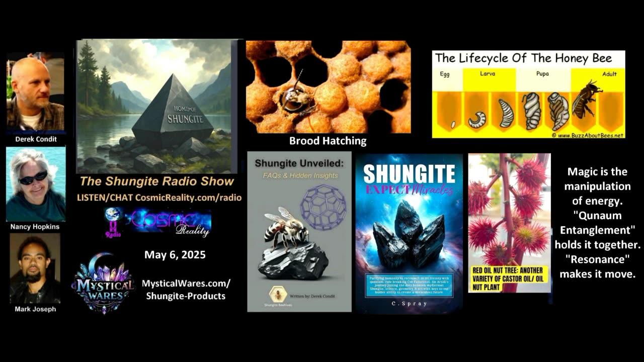 SHUNGITE REALITY 5/6/25 - Bees, Castor Oil , Quantum Entanglement