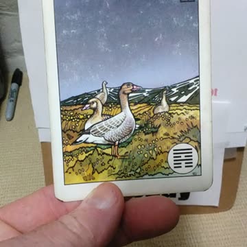 8-25-25 #fortunetelling