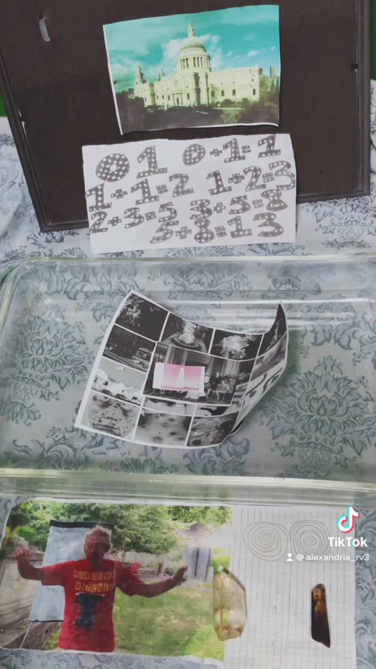 Tim Rifat TikTok Videos