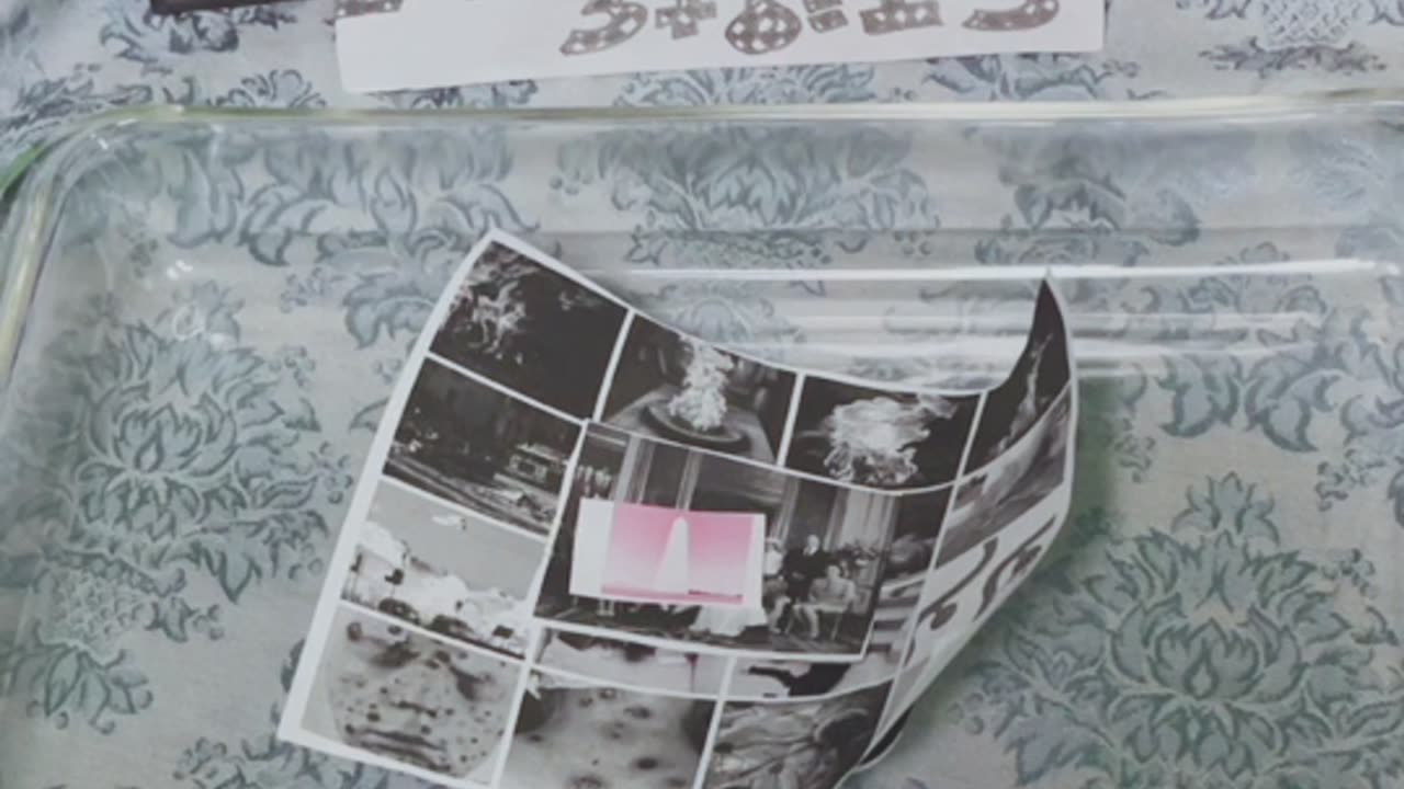 Tim Rifat TikTok Videos