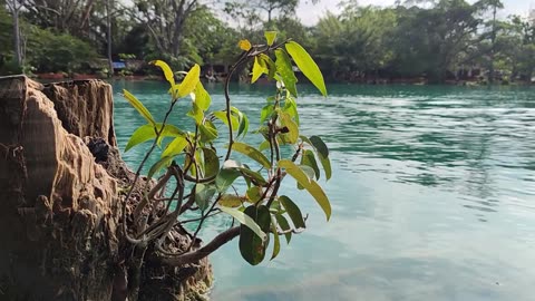 Whispers of Water: A Journey to Inner Calm