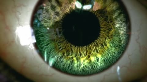 Batman: Arkham Origins - Joker's Therapy