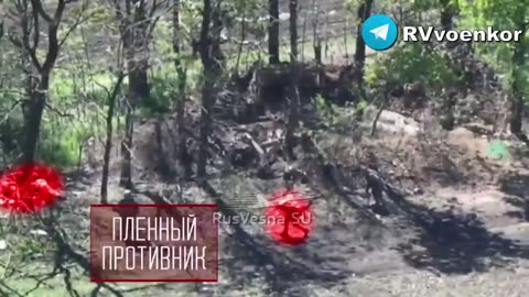 War in ukraine