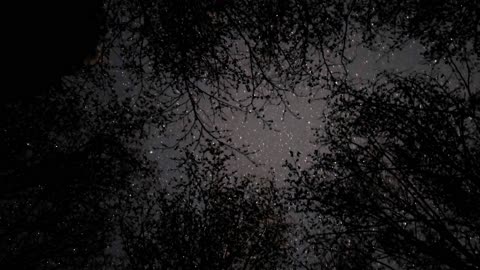 Starlapse 24/4/2025 (compilation)