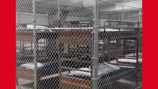 Quick Tour Inside Alligator Alcatraz