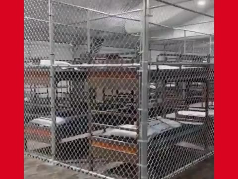 Watch: Quick Tour Inside Alligator Alcatraz
