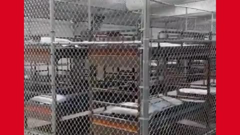Quick Tour Inside Alligator Alcatraz