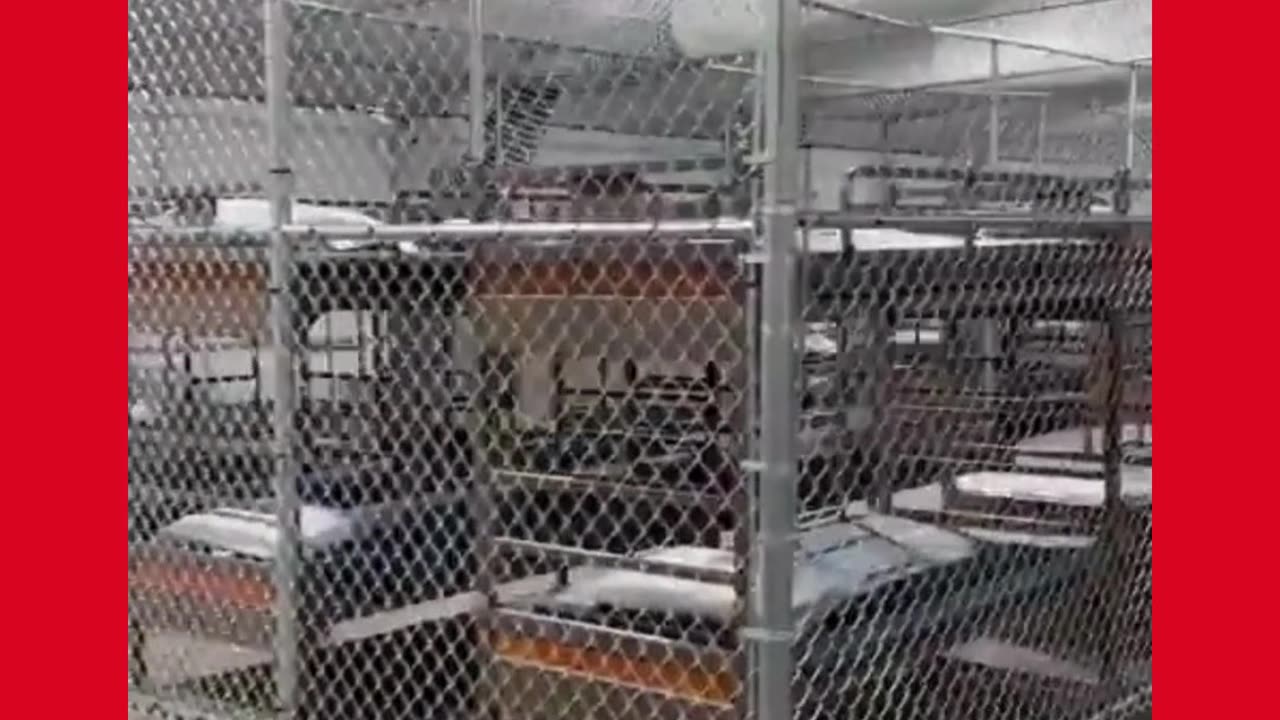 Quick Tour Inside Alligator Alcatraz