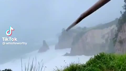 stick in the wind