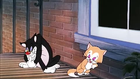 Animals funny scene crazy viral trending video most funny video