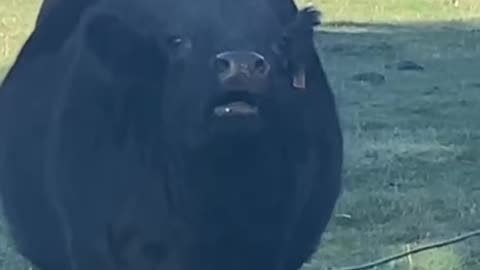 Your phone is on silent mode 😂