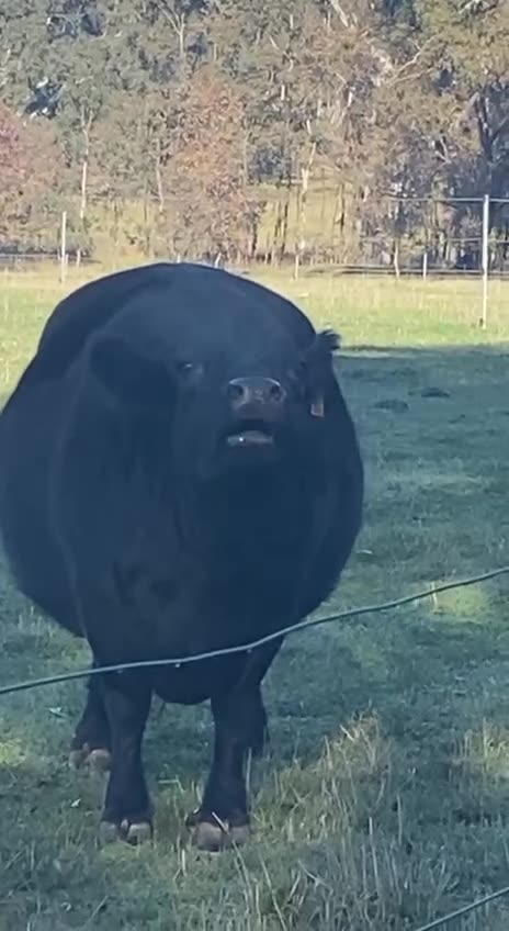 Your phone is on silent mode 😂